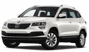 Двигатель Skoda Karoq в Ростове-на-Дону